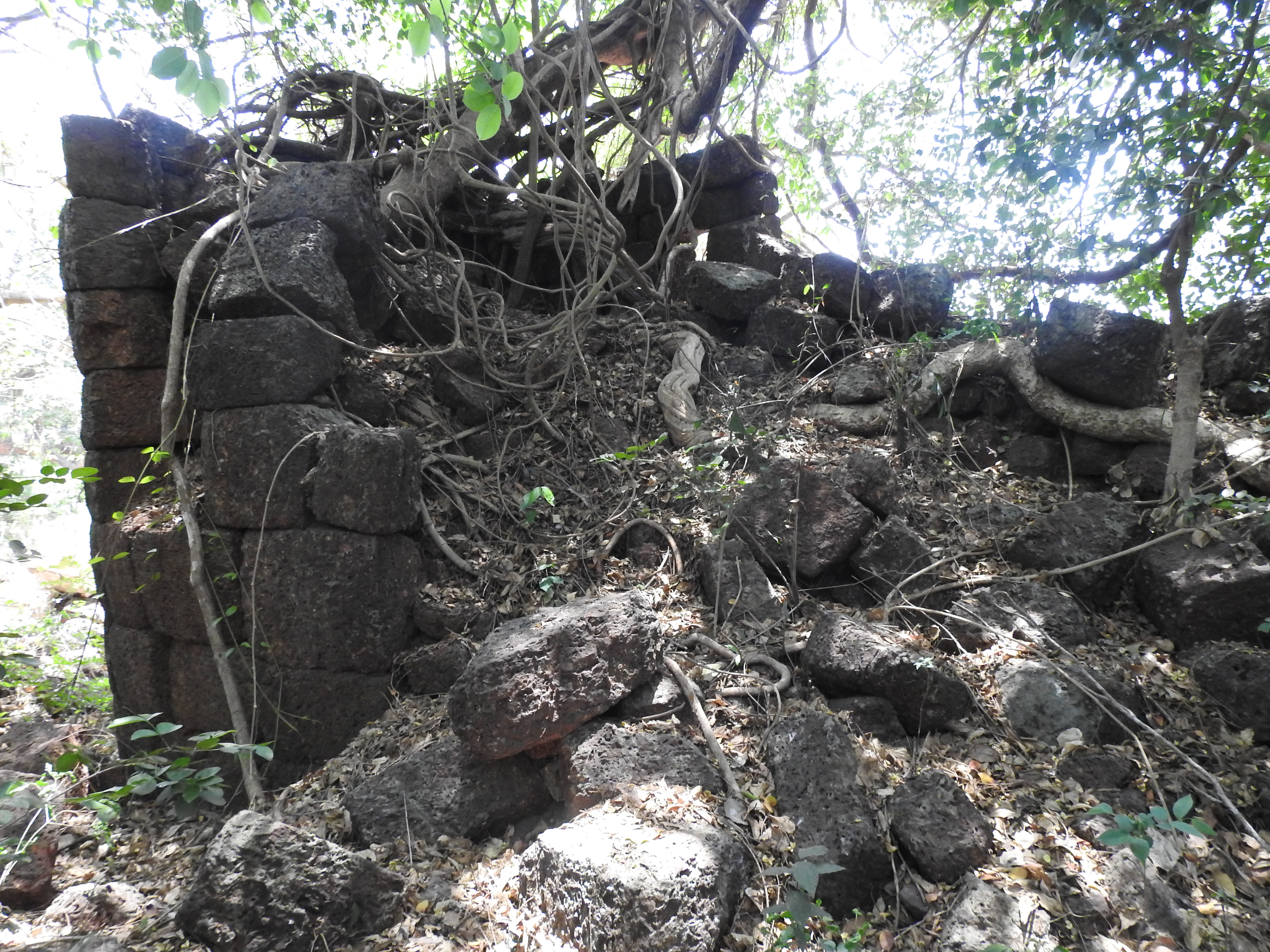 Satavali Fort
